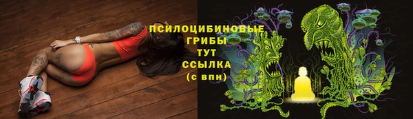apvp Михайловка