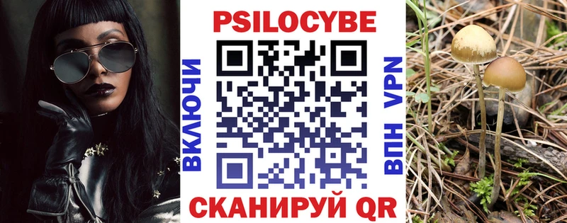 shop клад Чекалин Псилоцибиновые грибы GOLDEN TEACHER